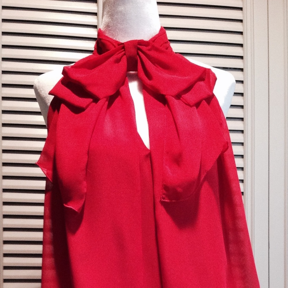Beautiful Red & Black sequined dress. Never worn